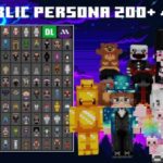 Public Persona 200+ 4D Skins