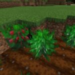 More Crops addon