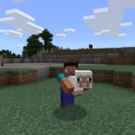 Carry Animals addon