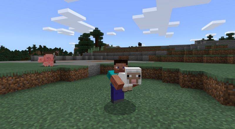 Carry Animals addon for minecraft PE